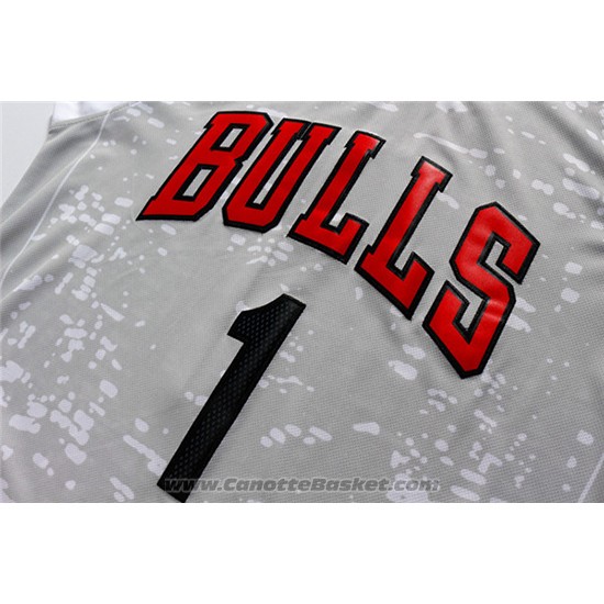Maglia Luci Della Citta Chicago Bulls Derrick Rose #1 Grigio